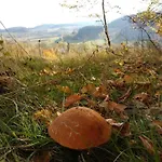Holiday home Przystanek W Sudetach Z Jacuzzi - Za Doplata *