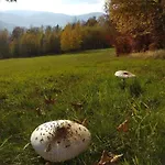 Przystanek W Sudetach Z Jacuzzi - Za Doplata Leszczyniec