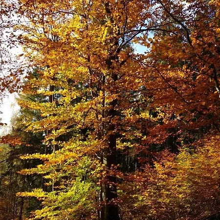 Dom wakacyjny Przystanek W Sudetach Z Jacuzzi - Za Dopłatą