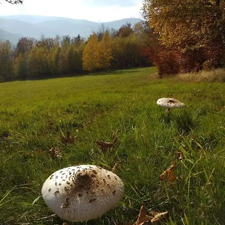 Przystanek W Sudetach Z Jacuzzi - Za Dopłatą Leszczyniec