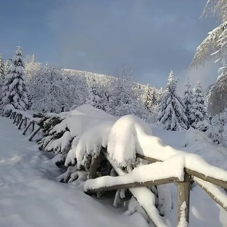Przystanek W Sudetach Z Jacuzzi - Za Dopłatą Dom wakacyjny Leszczyniec