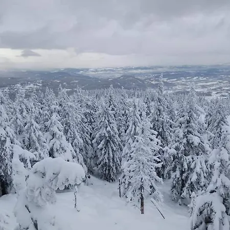Przystanek W Sudetach Z Jacuzzi - Za Dopłatą *