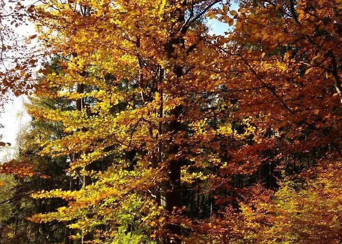 펜션 Przystanek W Sudetach Z Jacuzzi - Za Doplata