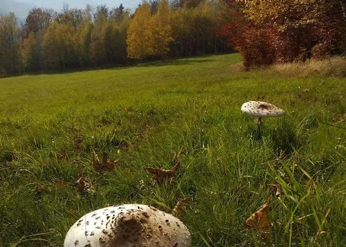 Przystanek W Sudetach Z Jacuzzi - Za Doplata Leszczyniec
