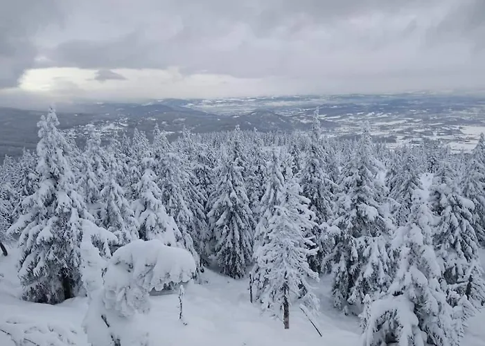 Przystanek W Sudetach Z Jacuzzi - Za Doplata *